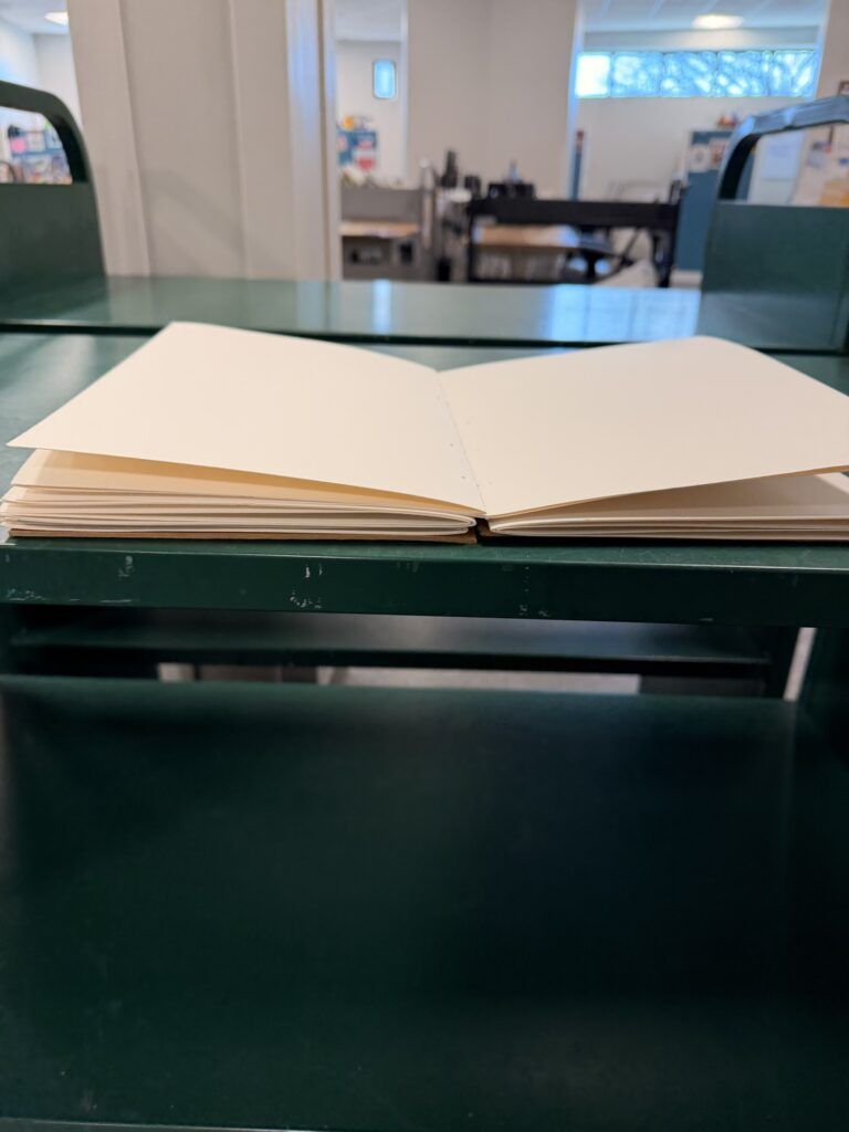 I bound it using a coptic stitch because it allows the pages to lay completely flat.
