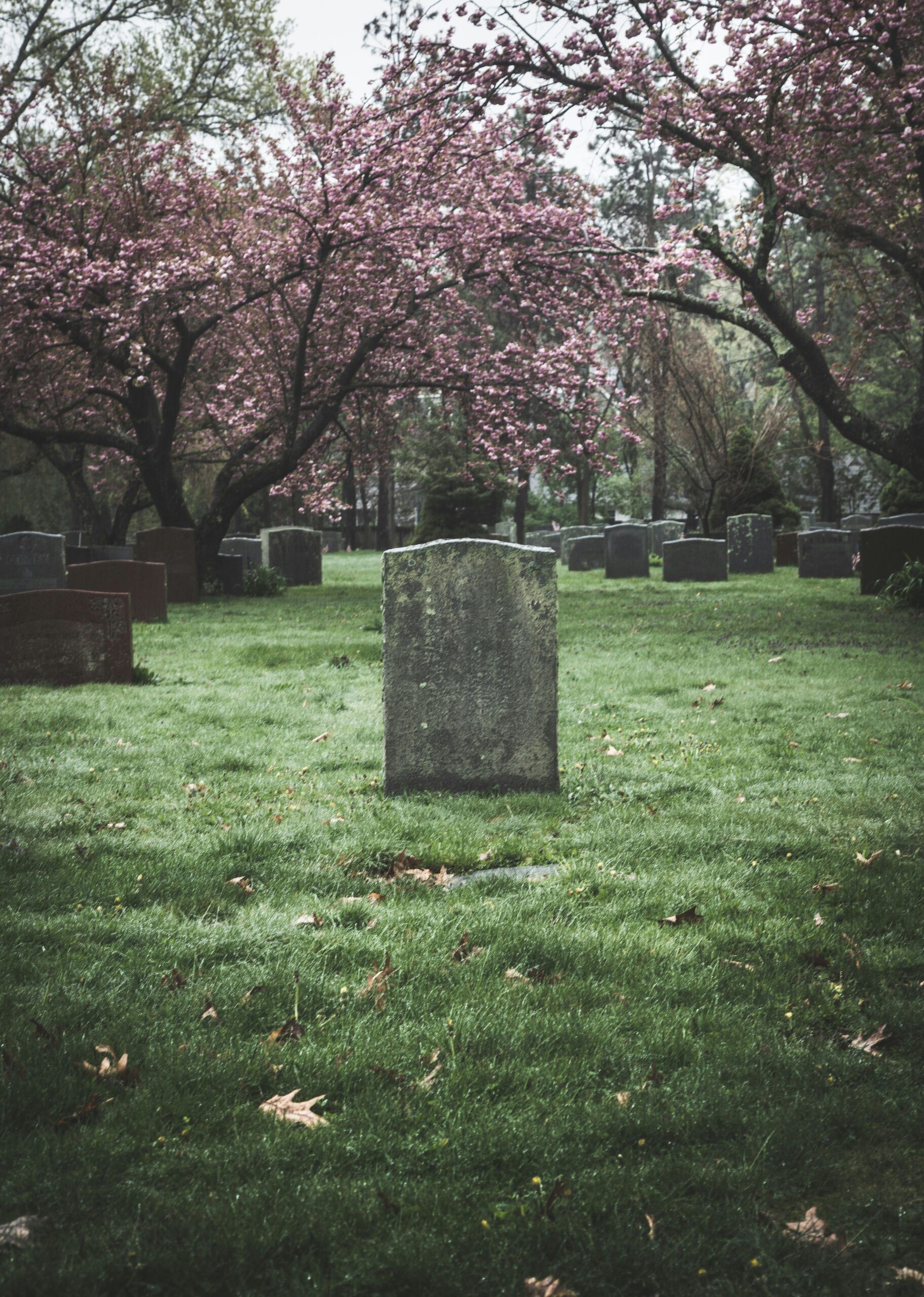 Conversations with Dead People